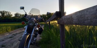 Predám Yamahu Virago 535 - 13