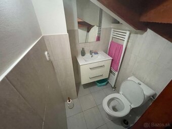 Celoročne obývateľné rekreačná chata v Mojtíne - 13