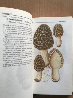 5 x literatura o hubach - 13