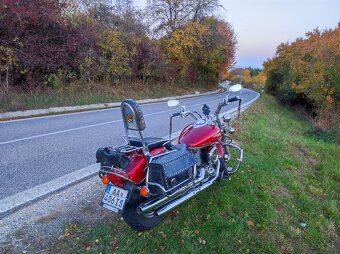Yamaha XVS 1100 Dragstar Custom - 13