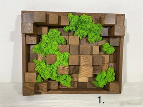 Machové obrazy - akustické difúzory - 13