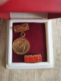 Predám odznaky a medaile - 13