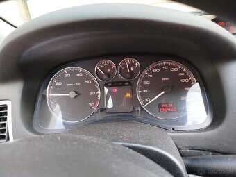 Peugeot 307 - 13