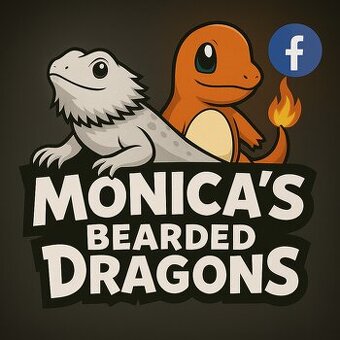 Agama bradata - Zero , het Zero 🦎 - 13