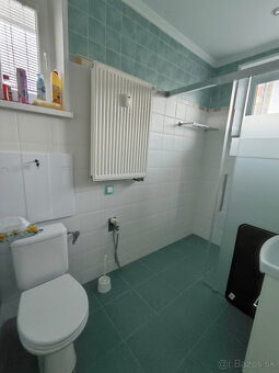 Byt na dlhodobý prenájom - Nižná - 13