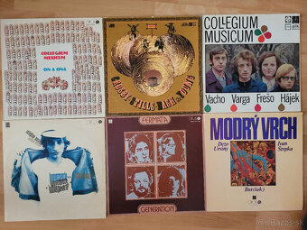 LP / EP / VINYL / PLATNE - 13