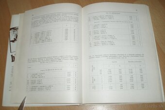 Hlavátka - 13