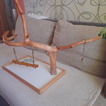 Papagáje, stromobidlá, strom pre papagáje - 13