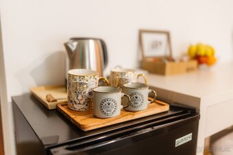Apartmán na krátkodobý prenájom - 13