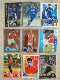 Futbalové kartičky - legendy - 13