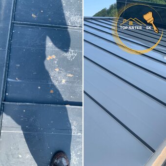 ✅Nátery striech❗️Cenová ponuka a obhliadka ZDARMA❗️ - 13