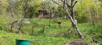 Záhrada Ťahanovce - 13