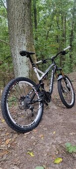 Specialized Stumpjumper FSR Expert - 13
