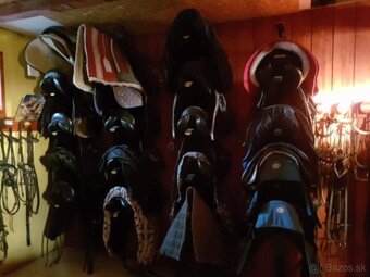 JEDINEČNÁ JAZDECKÁ FARMA V ÚPLNOM SÚKROMÍ - 13