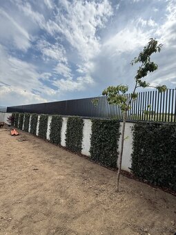 Kovovýroba Brany Ploty Konštrukcie zábradlia haly - 13