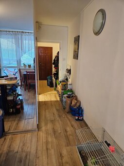 Prenajmem 2izbovy byt Tačevska Bardejov - 13