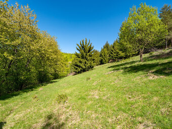IBA U NÁS Pozemok v lese s výhľadom nad Lazmi pod Makytou - 13