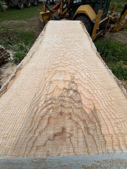 Predám rezivo Jaseň, šírka foršní od 50cm-130cm - 13