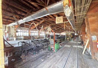 katr drevo 40-50m3/den linka G710+G560 porez rámová pila - 13