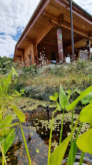 Fínsky zrub na samote Devičie, okres Krupina - 13