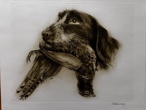 Ales Vaic - lesnicka tematiky - 13