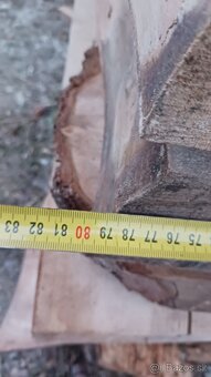 Brestové fosne sušené 6 rokov - 13