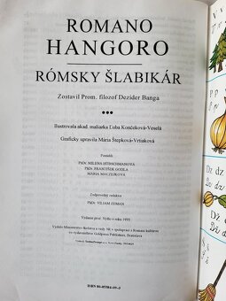 Romano Hangoro - Rómsky Šlabikár - 13