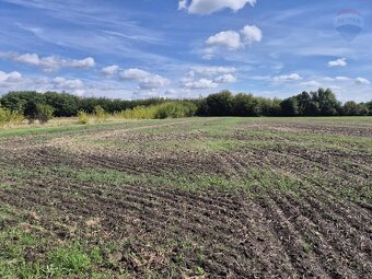 100-ročný dom na polosamote, pozemok 3252 m², Čab – Lahne - 13