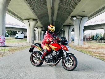 Honda Hornet 600 - 13