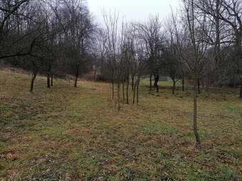 STAVEBNÝ POZEMOK PRI POTOKU 1963 m2 BRESTOVEC okres MYJAVA - 13