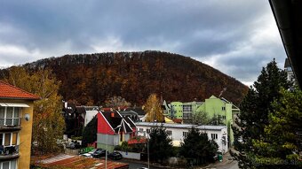 2-izbový byt v centre mesta na prenájom (Fortnička) - 13