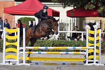 Kobylka na rekreaci / rodinný mazel / sport - 13