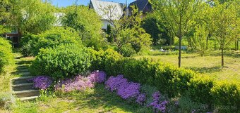 Na predaj záhrada s chatkou Ťahanovce, pozemok 590 m2 - 13