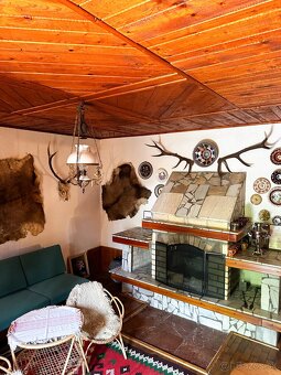 Chata s rozsiahlym pozemkom nad obcou Hrušov - 13