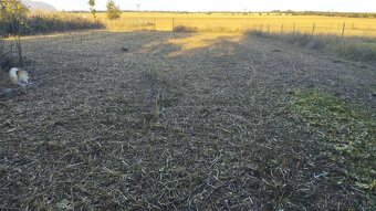 Rodinný dom s veľkým pozemkom na hlavnej ulici - Bešeňov - 13