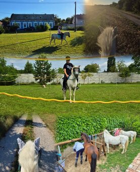 Výnimočná udalosť s dvomi domami a - 13