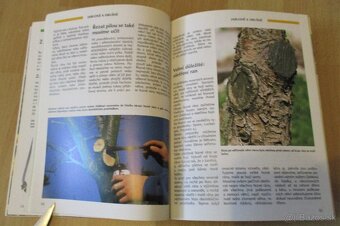 ez, tvarování a roubování ovocných stromu - 13