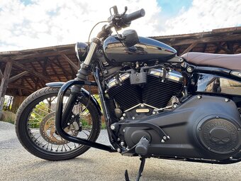HARLEY DAVIDSON SOFTAIL CUSTOM - 13