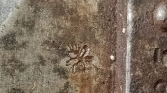 Predám dýky solingen - 13