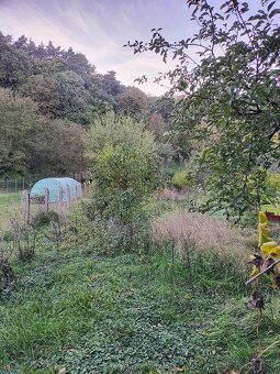 Predaj RD v obci Gemer - 13