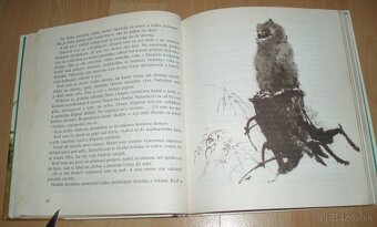 Z poľovníckej kapsy - 13