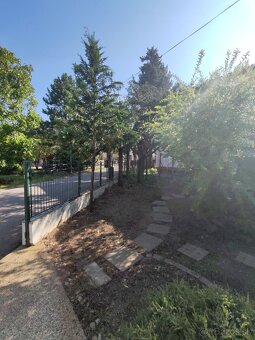 Záhradné služby /úprava zelene - 13