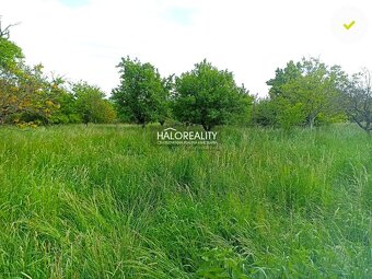 HALO reality - Predaj, rodinný dom Častá, Veľký pozemok 5674 - 13
