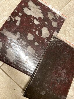 Artemie, discus mix, koretra, dafnie, mysis, hovězí srdce - 13