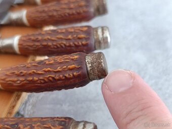 6 x malé nožíky v řadě na dřevéné podložce z břízy. - 13