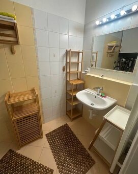 Priestranný 2 izb. byt v centre Bratislavy, Špitálska ulica - 13