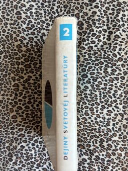 Dejiny svetovej literatúry 1 a 2 - kolektiv autorů - 13
