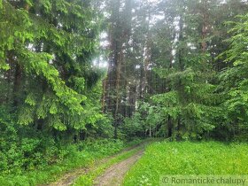 Rekreačný pozemok uprostred lesa pri Považskej Bystrici - 13