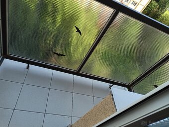 Velky 1i byt 42m2 balkon - 13