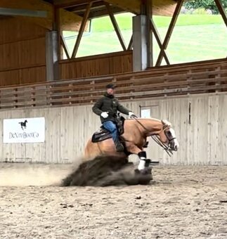 Buckskin klisna American Quarter Horse, Euro Futurity - 13